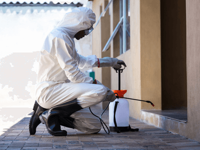 About Weatogue Bee Hive Relocation - bee hive relocation experts in Weatogue