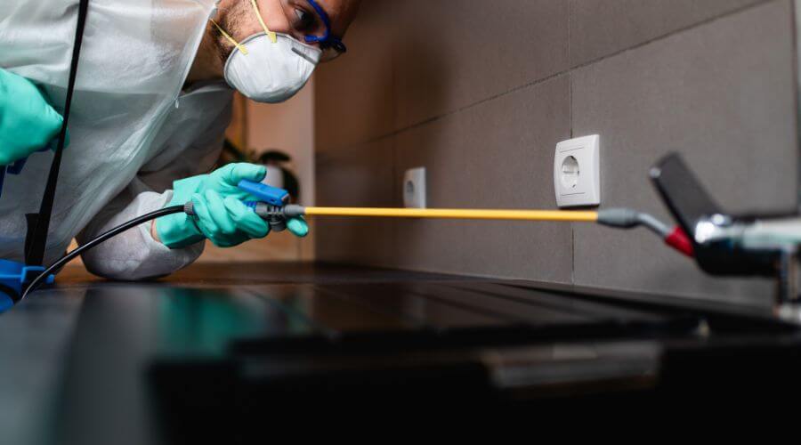 Why choose Weatogue Bee Hive Relocation for bee hive relocation in Weatogue